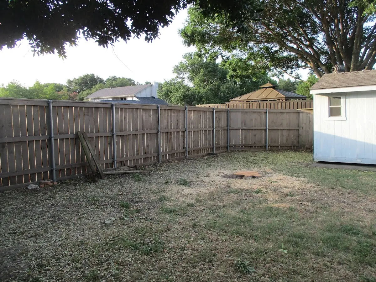 Cleared yard after professional tree removal in Sutherland Springs