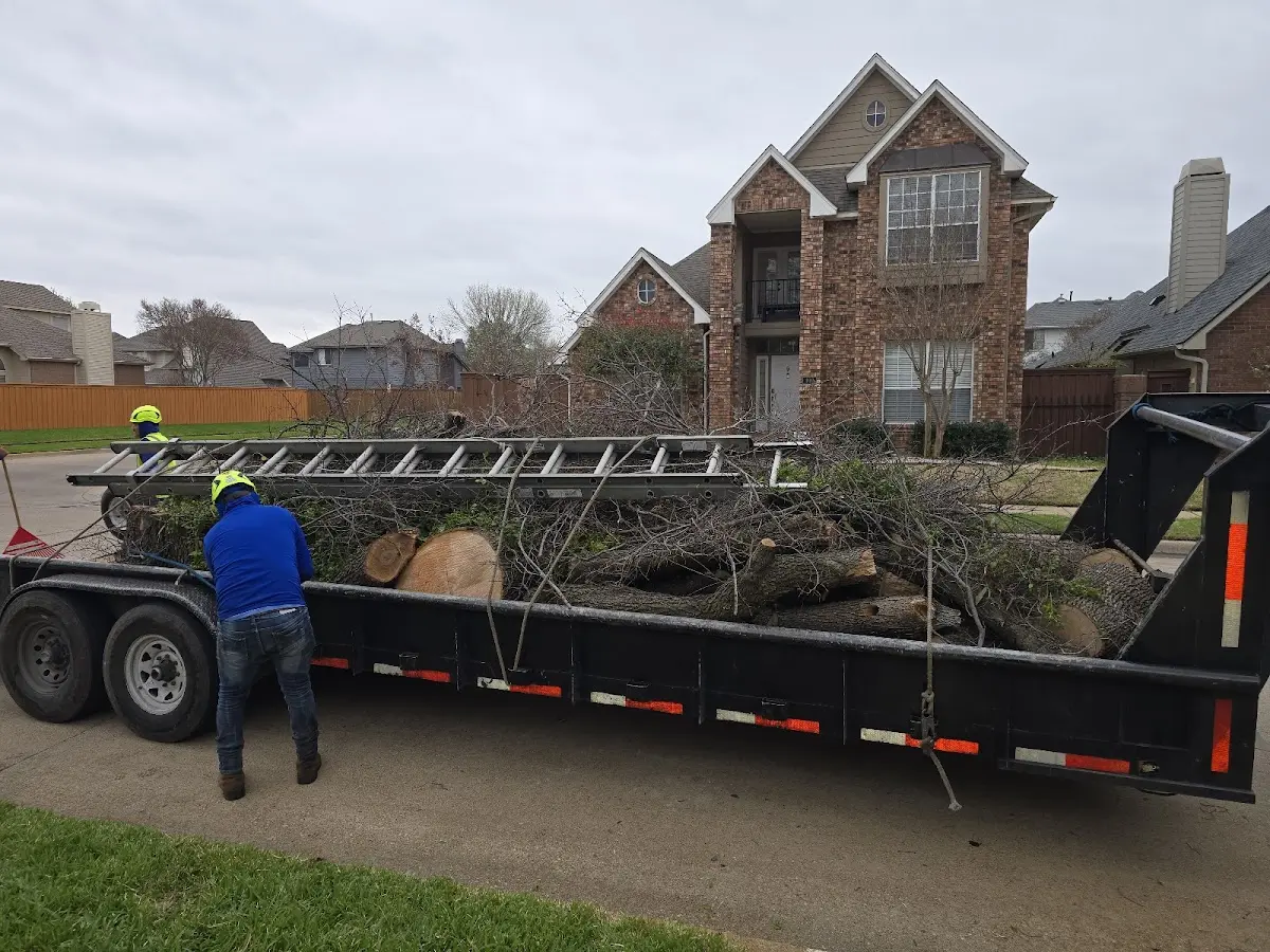 Expert Lot Clearing with proper safety equipment in Sutherland Springs
